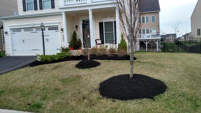 Wentworth Green spring clean up and mulch